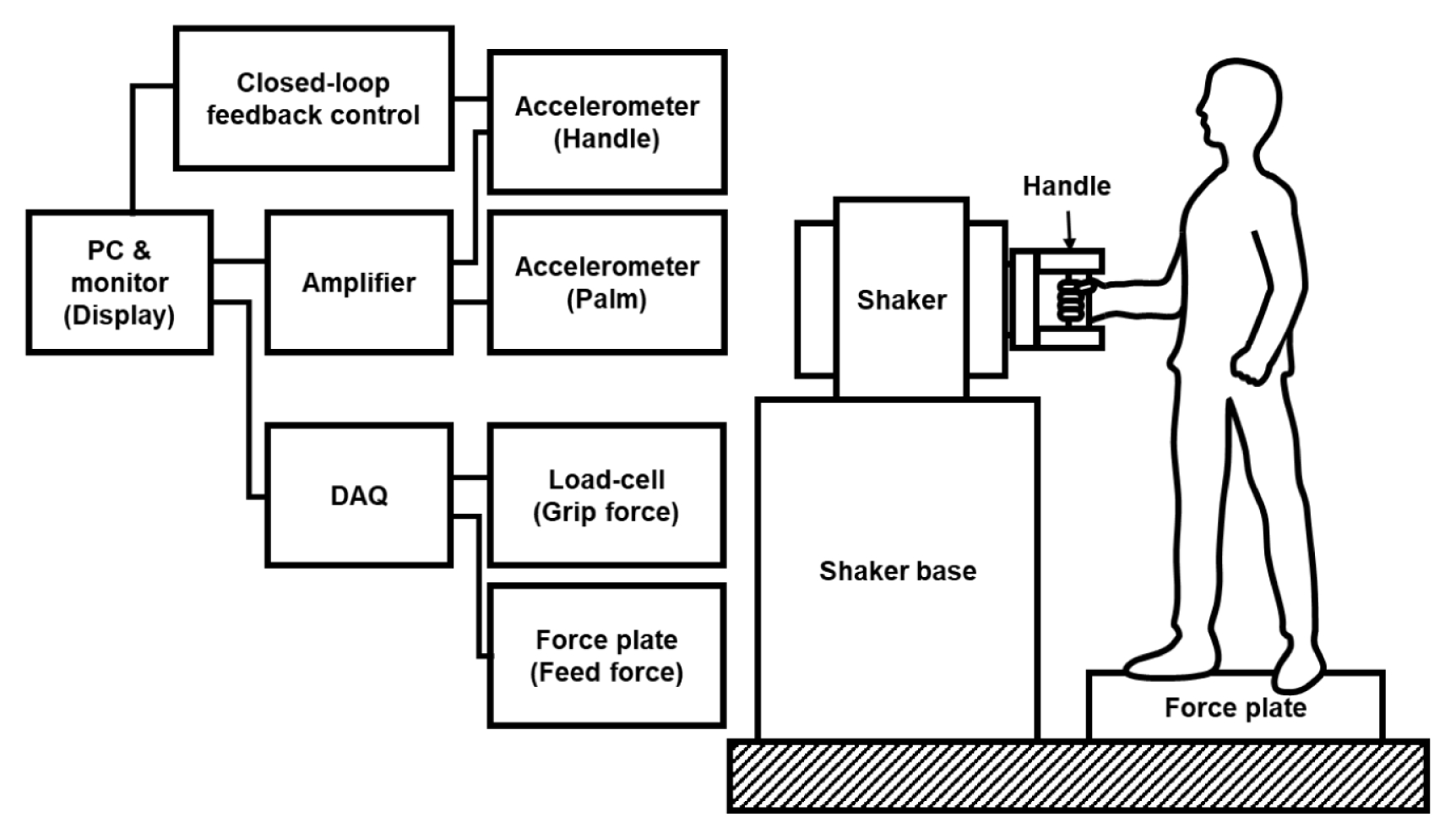 JKSPE-026-00025f5.jpg